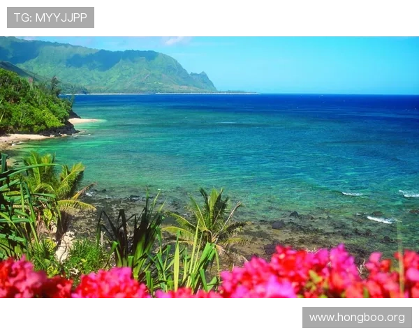 免费在线观看《东方夏威夷》高清完整版，带你领略热带海岛的迷人风光